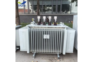 TSTY 380v to 220v 3 Phase 100kva Transformer Oil-immersed Electric Transformer