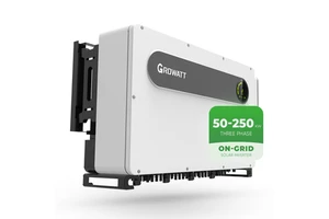 Growatt Solar Power Energy Storage PV Inverters 10Kw 20Kw 60Kw 100Kw 200Kw on Grid 3 Phase Hybrid Solar Electric Inverters