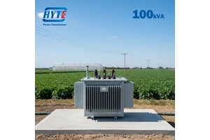 S13-100kVA 10kV 11kV Oil Immersed Transformer for Solar Power Projects6kV 6.6kV 10kV 11kV 15kV 20kV 22kV 24kV 33kV