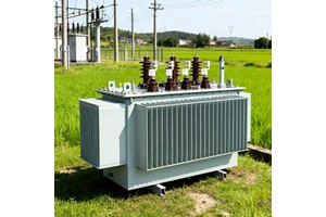 Three Phase Oil Transformer S-100KVA 160kva 250kva 400kva Mv&hv Transformer 30kva 50kva 500kva 13.2kv/0.41kv 33kv To 10.5kv 380v
