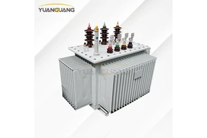Venue 15kV 0.4kV 100kVA 125kVA 160kVA Oil-Immersed Three Phase Distribution Transformer China Supplier