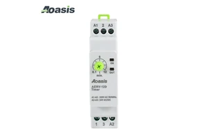 AOASIS AERV-12D Hot Sale Miniature Time Relay Electronic Adjustable Delay Time Relay