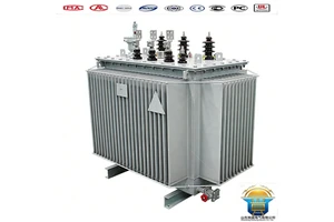 IEC Compliant Oil-Immersed Transformer China Low Noise Reduced Vibration for Commercial and Industrial Plants Anti-Vibration