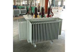 Factory Selling High Voltage 6kv 10kv 11kv 22kV 33kV 35kV Oil Immersed Transformer Rated Capacity 100kva 125kva 160kva 200kva