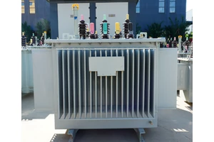 Electric Rhino High Quality 30~6000kVA Three-Phase Immersed Power Transformer with 6/10/35kV Input Voltage 100-130/220-240 Output Voltage