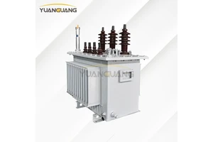 Outdoor 10.5kV 400v 100kVA 125kVA 160kVA Oil-Filled 3 Phase Copper Winding Distribution Transformer Price Customized