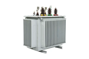 CEEG Customized 3 Phase Electrical 11kv 22kv 30kv 33kv Power 1000kva 1000kw MV&HV Distribution Transformer
