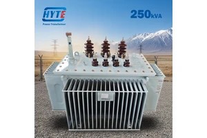 S13-250kVA 10kV 10kV Oil Immersed Transformer Asia area use 6.6kV 10kV 11kV 15kV 20kV 22kV 24kV 33kV
