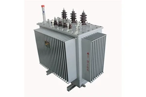 6/6.3/10/11kV 3-Phase 30-3150kVA Oil-Immersed Electric Distribution Transformer for Electricity Transmission