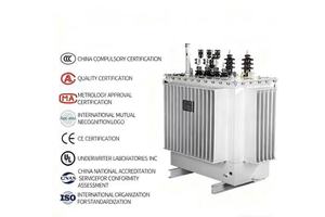 Hongwei Low Loss Energy Saving Three Phase Oil Immersed Transformer IEC Certified Copper/Aluminum Windings 100kva-200kva