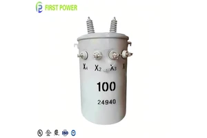 ANSI MV&HV D11 Type 50/60HZ 15KVA 50KVA 11KV Single Phase Pole Mounted 10KV Transformer 100KVA For Electric Power Distribution