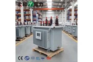 315KVA 10kV to 220V Three Phase Oil Immersed Waterproof Transformer for ONAN Dyn11
