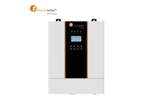 Felicity Factory Direct Sales 3kw Inverter 24V Inverter Mppt Hybrid Solar Charge Controller