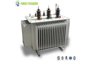 UL CUL CE 50/60HZ 6KV 10KV 15KV 20KV 35KV 100KVA 300KVA 500KVA 3 Phase MV&HV Oil Transformers For Electric Power Distribution