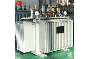 Power Transformer 11kv 13.8kv 100kva 500kva 630kva 800kva 1000kva 1250kva 1600kva Oil Electric Transformer