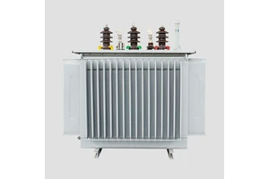 CEEG Electric Electricity Distribution Transformer 100kva Three Phase Transformer S11 Oil-immersed Power Transformer 50/60hz