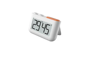 The Timer