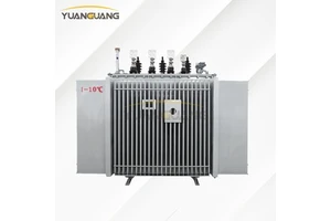 Schools 10.5kV 400v 2500kVA 1MVA 1.2MVA Oil-Immersed Three Phase Distribution Transformer High Quality Custom