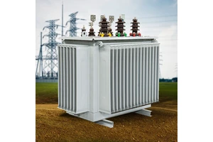 High Voltage Power Transformer Oil 800kva 1000kva Medium & High Voltage 13.2/0.46kv Oil Filled Transformers Price
