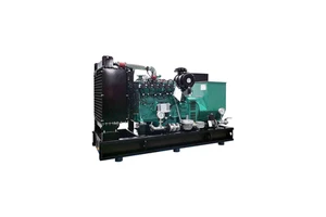 Emergency 60kw 75kva Super Silent Portable Inverter Gasoline LPG NG Biogas Generator For Hot Sale