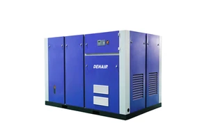Denair High-End New Technology Voctor Inverter Rotary Screw Air Compressor