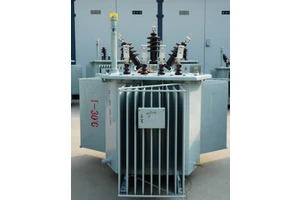 Electric Rhino High Quality 30~5000KVA Three Phase Oil Immersed Transformer with 6/10/35kV Input Voltage 100-130/220-240V Output Voltage
