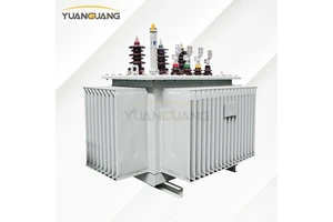 City Power Grid 10kV 400v 5MVA 80kVA 100kVA Oil-Filled 3 Phase Distribution Transformer OEM/ODM