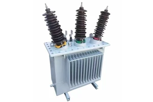 High-Performance Three-Phase Three-Winding Layer Coil Oil-Immersed Pole-Mounted Distribution Transformer