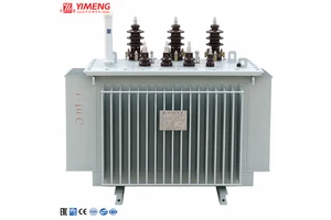 High Voltage Power Transformer 35kV 160kVA Oil Immersed Transformer Heavy Duty Design for Transmission Substation