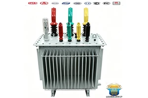 Quick Installation Impact Resistance S20 200 KVA Electrical Oil Immersed Power Transformer