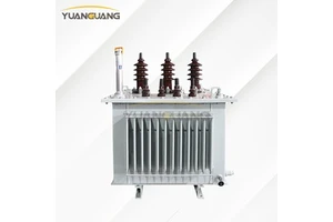Outdoor 10kV 0.4kV 80kVA 100kVA 125kVA Oil-Immersed Three Phase Amorphous Alloy Distribution Transformer China Manufactory