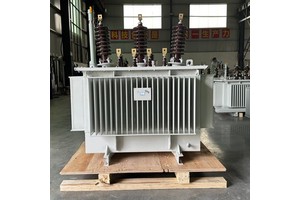 Energy Saving Outdoor Oil Immersed Electrical Power Distribution Transformer 250kva 315kva 6kv 10kv 11kv 22kV 33kV 35kV