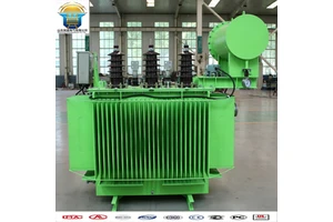 2000 KVA Oil-immersed Transformer Price with Enclosure