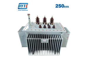 S11 250kVA 10kV 6kV 6.6kV 10kV 11kV 15kV 20kV 22kV 24kV 33kV Oil Immersed Transformer for Unstable Voltage Areas in Africa