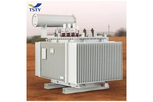 TSTY Power High Voltage 315KVA 6kV/10kV/11kV 0.4kV Customized Three Phase Oil Immersed Power Transformer ISO9001/CE Certified