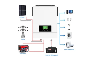 2kw 3.2kw 12v 24v on Off Grid MPPT Pure Sine Wave Solar Inverter Hybrid 3kw 3000w for Solar Home System