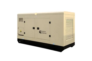 Inverter Portable Diesel Generator 50kva-150kva 50Hz/60Hz Super Silent Type Electric Start For Engine 1800 RPM 2 Year