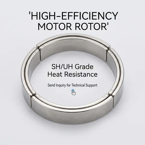 OEM ODM Neodymium Arc Segment Curved Magnet N42 N45SH N48SH NdFeB Sintered for BLDC Servo Motor Generator Custom Drawing