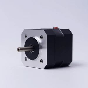 24V Nema 17 Brushless BLDC Motor High-Speed 4000 RPM Waterproof 15.1A ROHS Certified for Home Appliance Boat & Fan Use