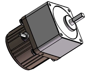 220v bldc motor