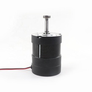 Brushless Dc Electric Motor