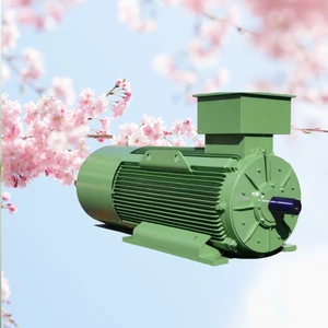 High Quality 30kw NIDEC Electric Motor
