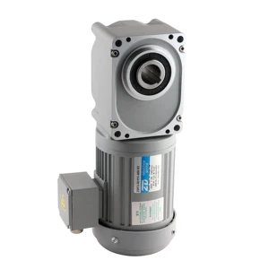 ZD Motor AC 220V 3 Phase 400W Induction Nissei Gear Motor with Right Angle Hollow Shaft ZDF3-35H100L-400-S