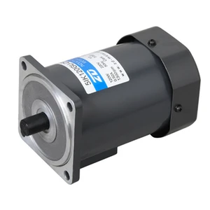 Hot Sale Factory Brushless Motor Low Rpm High Torque Ac Motor Speed Controller for Sale in China