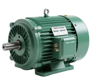 Squirrel Cage Nidec Leroy Somer Motor 1hp 2hp 3hp 5hp 7.5hp 10hp 15hp 20hp 25hp 30hp 40hp 50hp 75hp 100hp 3-phase Motor with Fan