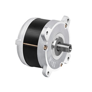 Low Voltage 500W Bldc Motor