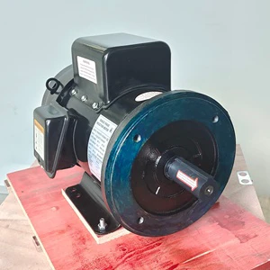 NEMA Standard AC Motor 5HP 1800RPM 184TC 208-230V Rolled Steel Low Maintenance Cost High Working Efficiency TEFC Electric Motor