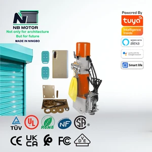 NB Motor Factory Price DC 600kg 800kg Side Motor with Receiver and 2 Remote 6 Years Warranty