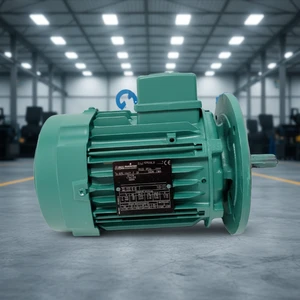 Good Price of Good Quality Nidec Leroy Somer 3kw 5.5kw 11kw 18.5kw 3000prm Motor on Sale