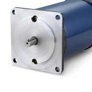 2.1N.m 48V 300w DC Brushed Electric Car Motor